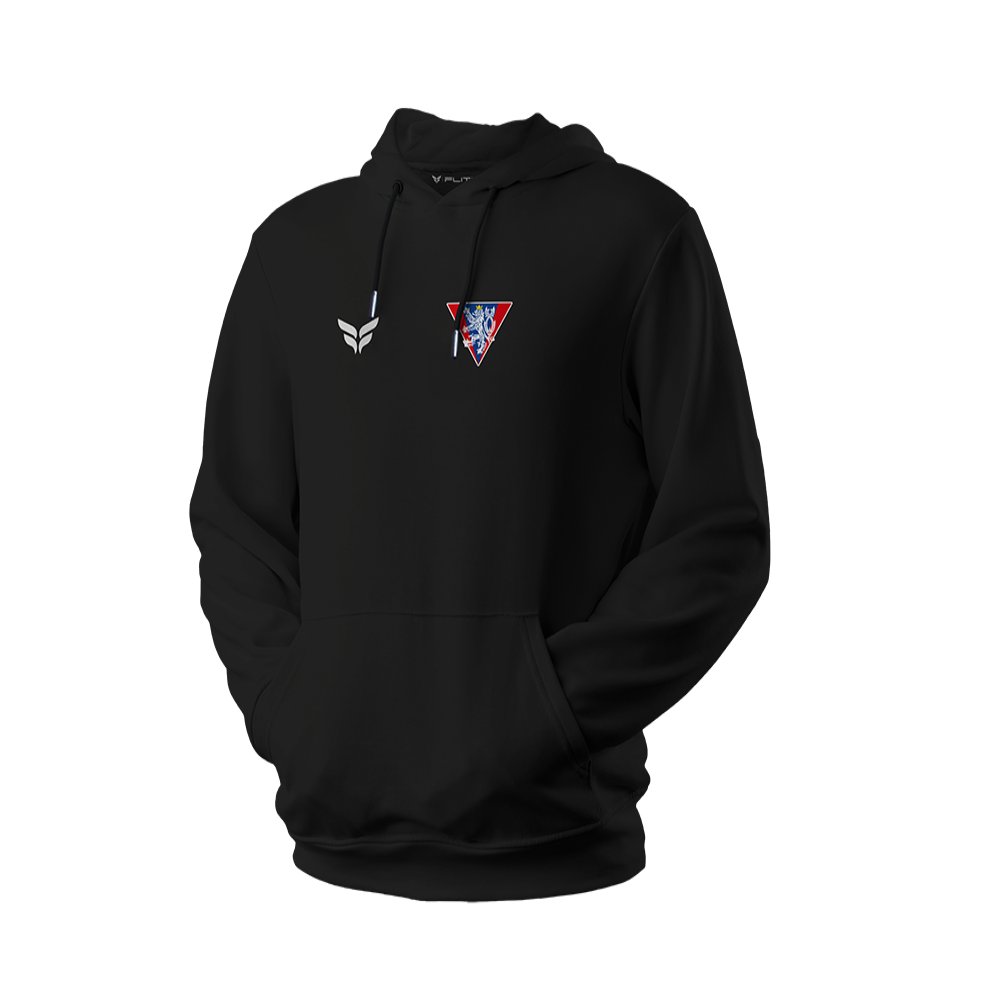 VEDRAL PREMIUM HOODIE (BLACK)