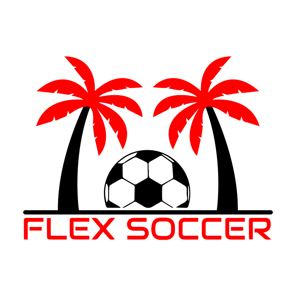 FLEX SOCCER TEAM GEAR