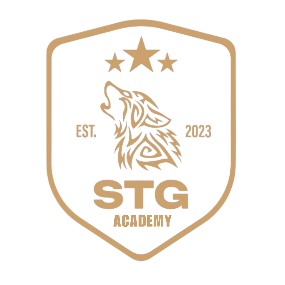 STG ACADEMY BUNDLE