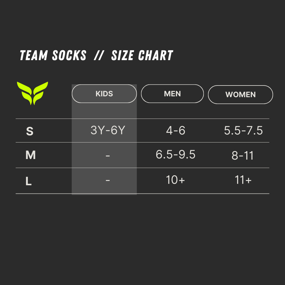 TEAM SOCKS (NAVY SOCKS WHITE WINGS)