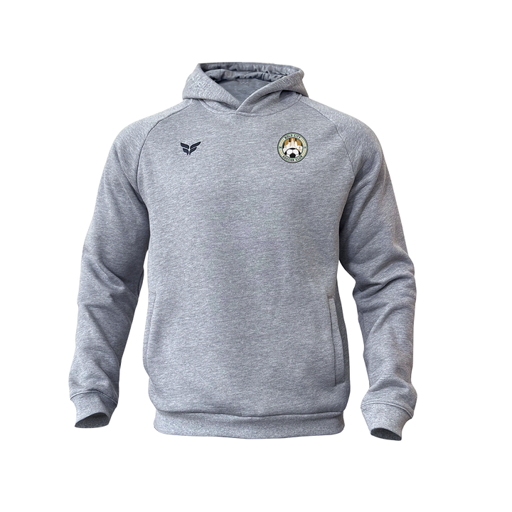 BOLD CITY COTTON-BLEND HOODIE (GREY)