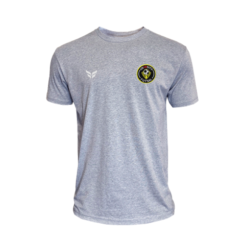 IN10SITY COTTON-BLEND TSHIRT (GREY)